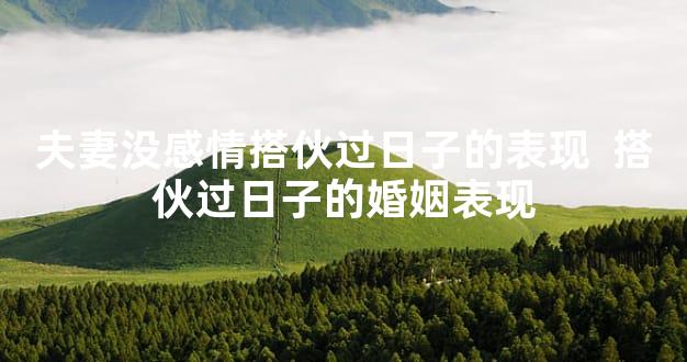 夫妻没感情搭伙过日子的表现  搭伙过日子的婚姻表现